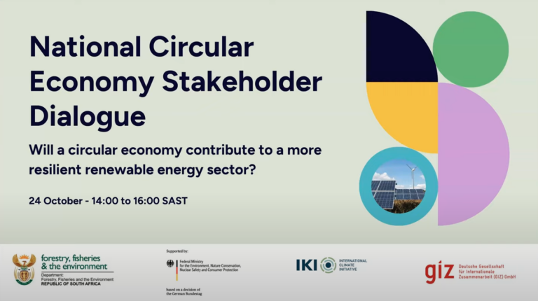 Webinar Recap — “Will a Circular Economy Contribute to a More Resilient Renewable Energy Sector?”